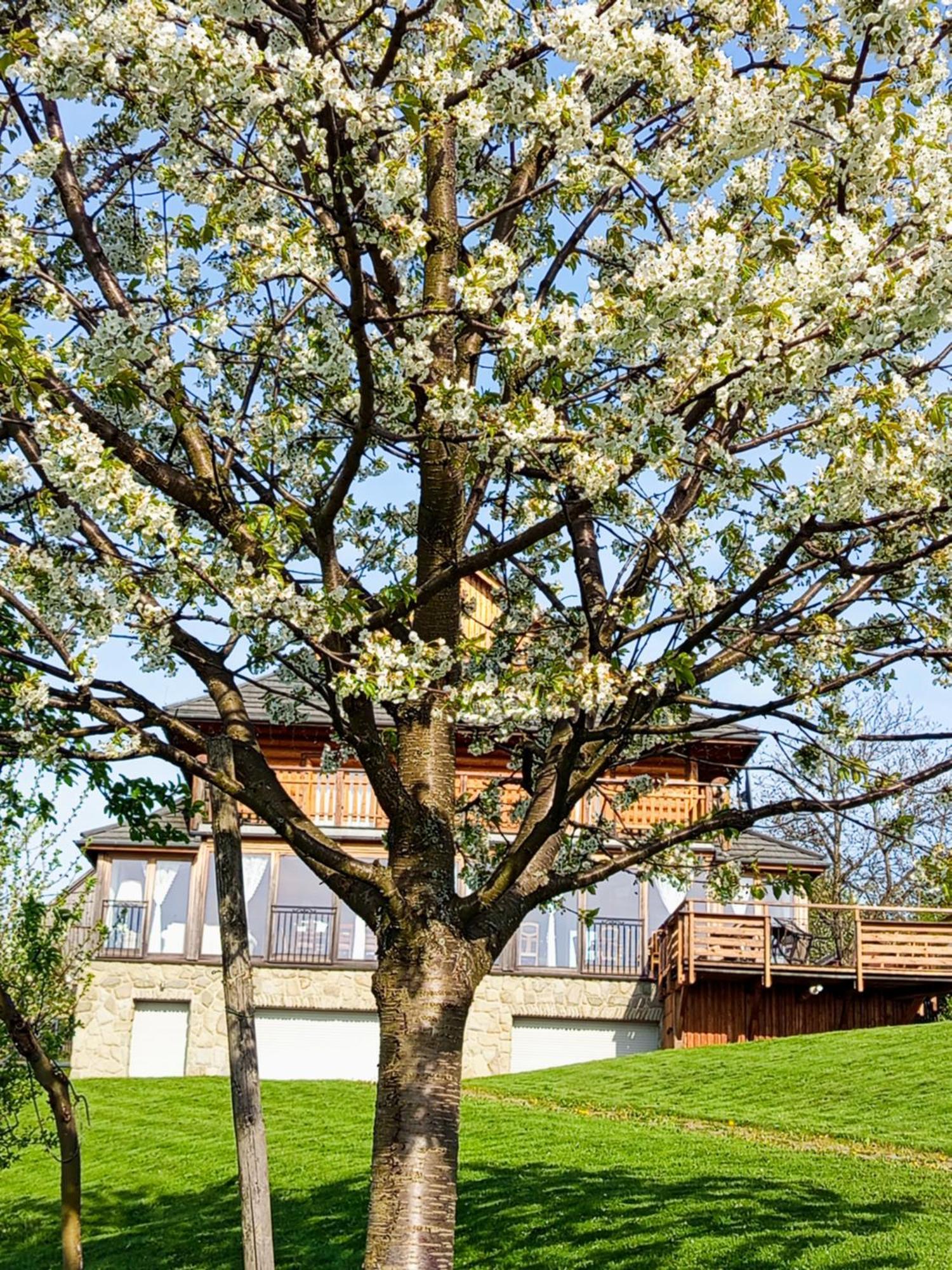 Dom Na Rozcesciu Bed and Breakfast Koniaków Exteriör bild
